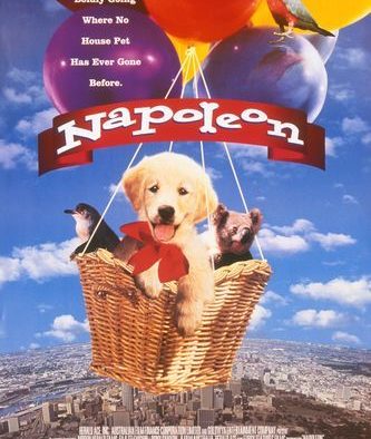Napoleon (1996)