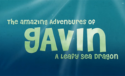 The Amazing Adventures of Gavin A Leafy Sea Dragon
