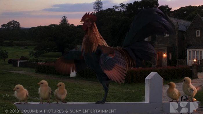 Five chicks and a rooster stand on a white picket fence in front of a farm.