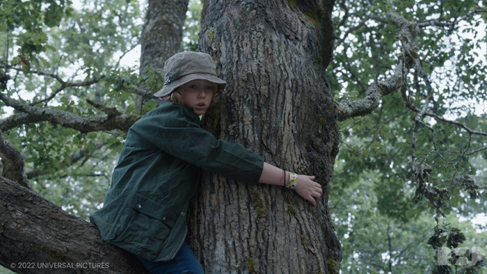 A young boy clings to a tree trunk, high off the ground and afraid.